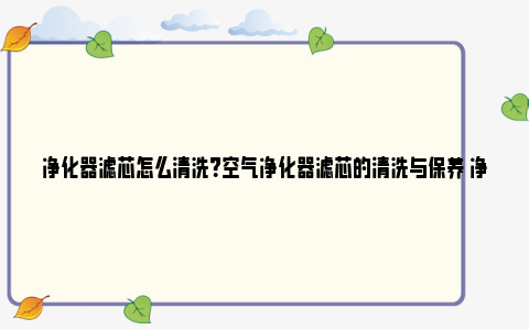 净化器滤芯怎么清洗？空气净化器滤芯的清洗与保养 净化器滤芯怎么换