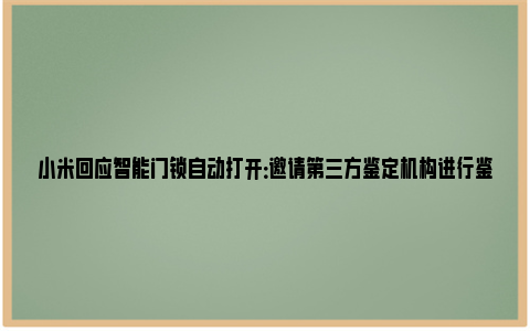 小米回应智能门锁自动打开：邀请第三方鉴定机构进行鉴定与测试 小米回应智能门锁自动开门厂