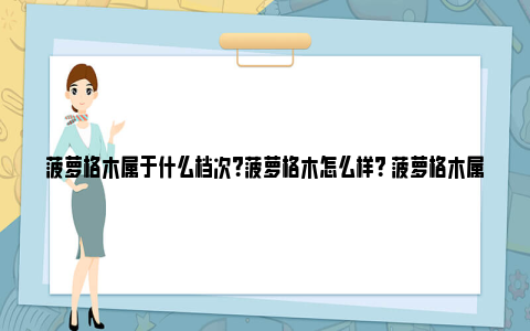 菠萝格木属于什么档次？菠萝格木怎么样？ 菠萝格木属于什么档次