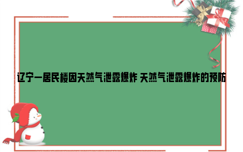 辽宁一居民楼因天然气泄露爆炸 天然气泄露爆炸的预防措施有哪些？ 辽宁一居民楼起火