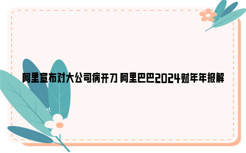 阿里宣布对大公司病开刀 阿里巴巴2024财年年报解析