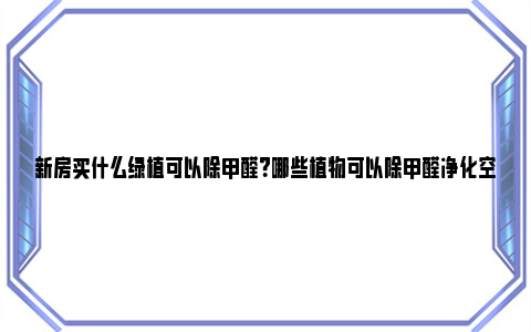 新房买什么绿植可以除甲醛？哪些植物可以除甲醛净化空气？ 新房子买什么绿植