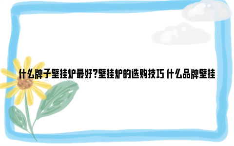 什么牌子壁挂炉最好？壁挂炉的选购技巧 什么品牌壁挂炉质量最好