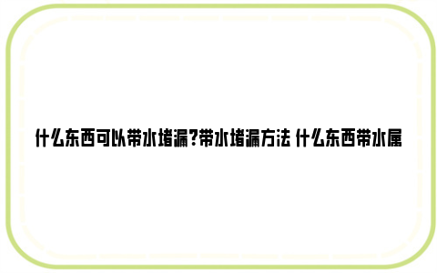 什么东西可以带水堵漏？带水堵漏方法 什么东西带水属性