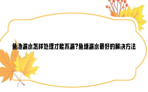 鱼池漏水怎样处理才能不漏？鱼塘漏水最好的解决方法