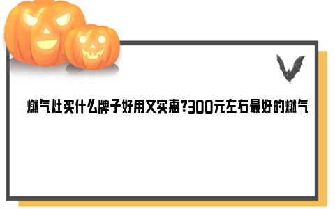 燃气灶买什么牌子好用又实惠？300元左右最好的燃气灶 燃气灶哪个牌子好十大排名