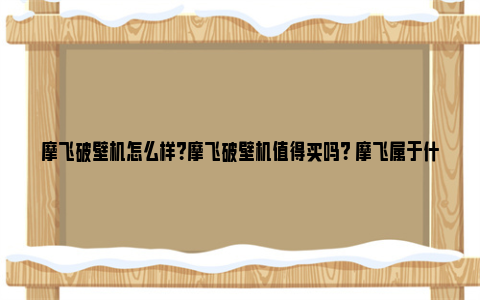 摩飞破壁机怎么样？摩飞破壁机值得买吗？ 摩飞属于什么档次的品牌